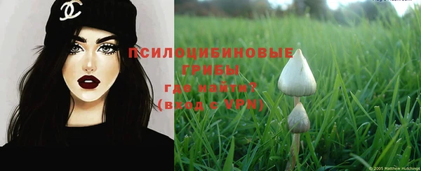 амф Горнозаводск