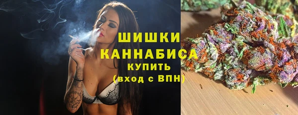 хмурый Горняк