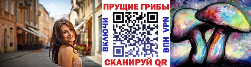 KRAKEN как зайти  Дмитров  Псилоцибиновые грибы MAGIC MUSHROOMS 